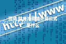 现值 财务净现值计算公式是什么