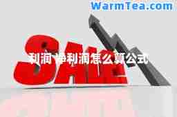 利润 净利润怎么算公式