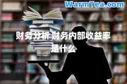 财务分析 财务内部收益率是什么