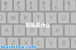 总账是什么