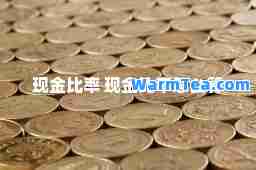 现金比率 现金比率怎么算