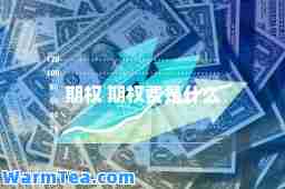 期权 期权费是什么