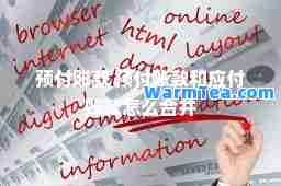 预付账款 预付账款和应付账款怎么并