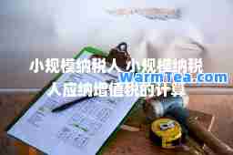小规模纳税人 小规模纳税人应纳增值税的计算