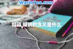 倾销 倾销的含义是什么
