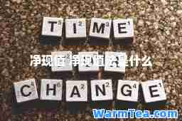 净现值 净现值法是什么