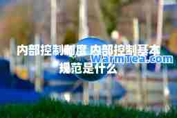 内部控制制度 内部控制基本规范是什么