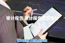 审计报告 审计报告意见是什么