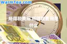 所得税费用 所得税费用是什么
