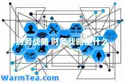 财务战略 财务战略是什么