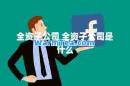 全资子公司 全资子公司是什么
