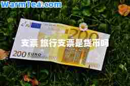 支票 旅行支票是货币吗