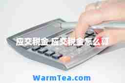 应交税金 应交税金怎么算