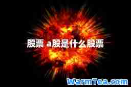 股票 a股是什么股票