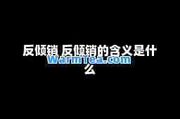 反倾销 反倾销的含义是什么