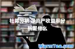 杜邦分析 净资产收益率分析是什么
