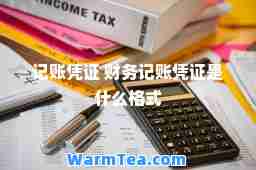 记账凭证 财务记账凭证是什么格式