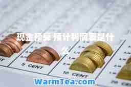 现金预算 预计利润表是什么