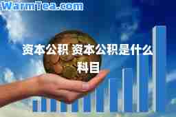 资本公积 资本公积是什么科目