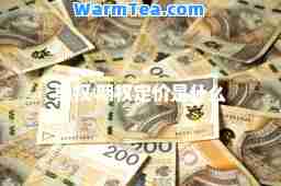 期权 期权定价是什么