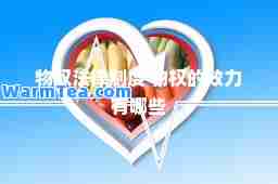 物权法律制度 物权的效力有哪些