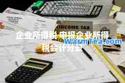 企业所得税 申报企业所得税会计分录