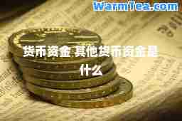 货币资金 其他货币资金是什么