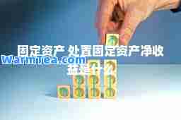 固定资产 处置固定资产净收益是什么