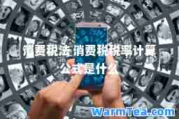 消费税法 消费税税率计算公式是什么