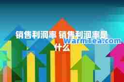销售利润率 销售利润率是什么