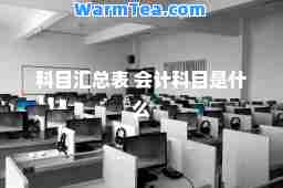 科目汇总表 会计科目是什么