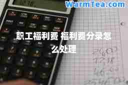职工福利费 福利费分录怎么处理
