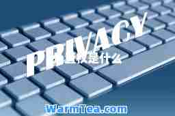 处置权是什么