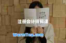 注册会计师网课 注册会计师网课