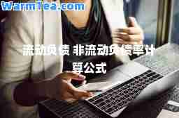 流动负债 非流动负债率计算公式