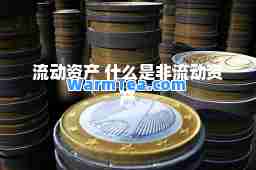 流动资产 什么是非流动资产