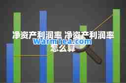 净资产利润率 净资产利润率怎么算