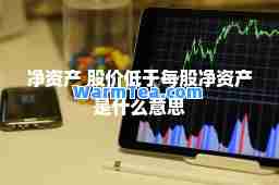 净资产 股价低于每股净资产是什么意思