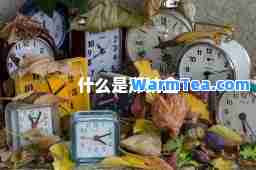 什么是滞纳金