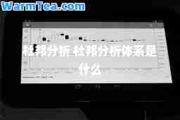 杜邦分析 杜邦分析体系是什么