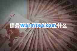 债务融资 债务融资是什么