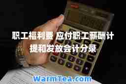 职工福利费 应付职工薪酬计提和发放会计分录