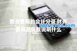 财务费用的会计分录 财务费用是负数说明什么