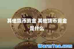 其他货币资金 其他货币资金是什么