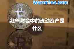 资产 财会中的流动资产是什么