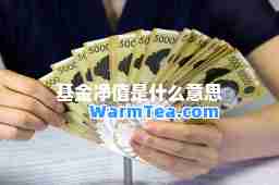 基金净值是什么意思