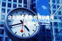 企业财务报表 并财务报表是什么