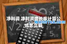 净利润 净利润增长率计算公式怎么算