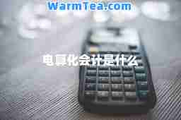 电算化会计是什么