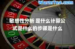 敏感性分析 是什么计算公式是什么的步骤是什么